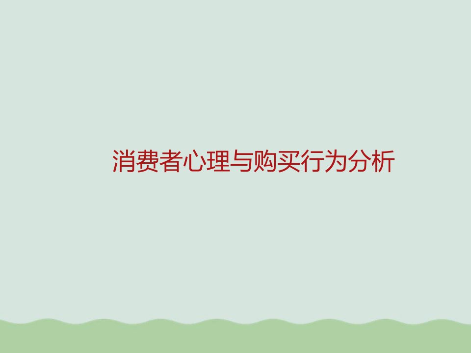 消费者心理与购买行为分析课件