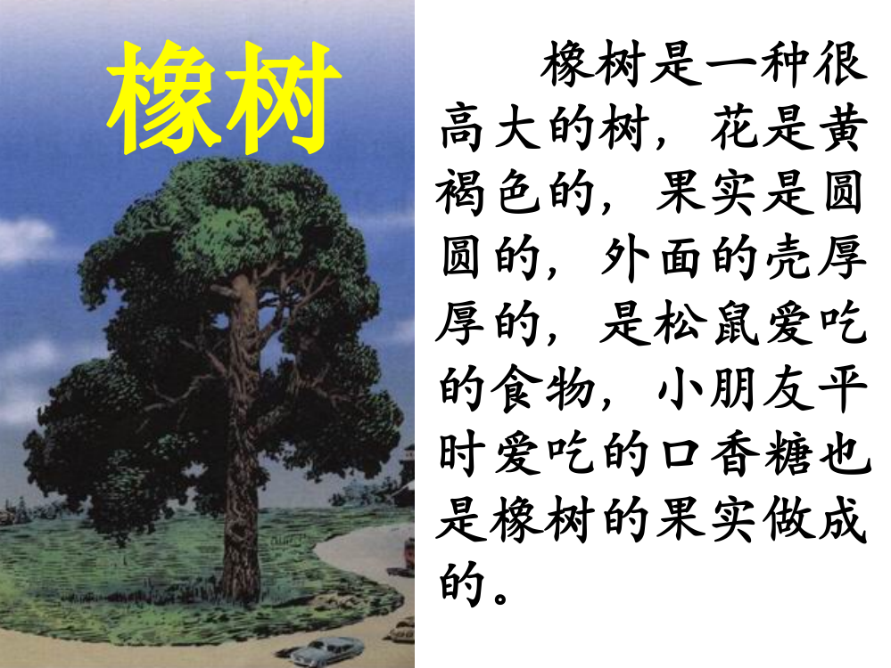 《路旁的橡树》课件1