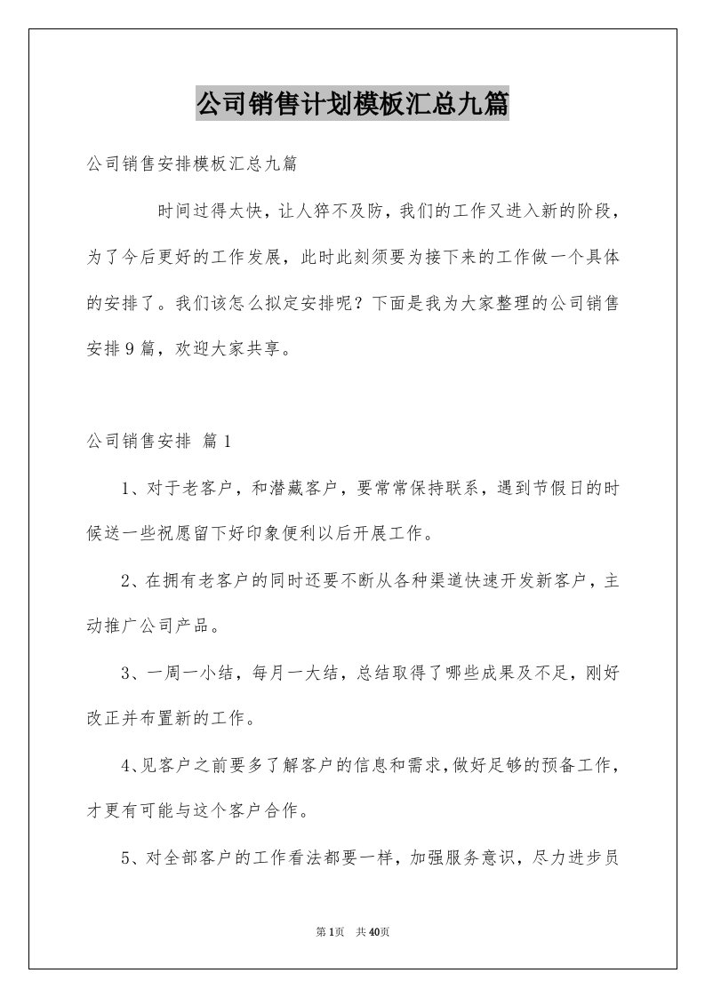 公司销售计划模板汇总九篇范文