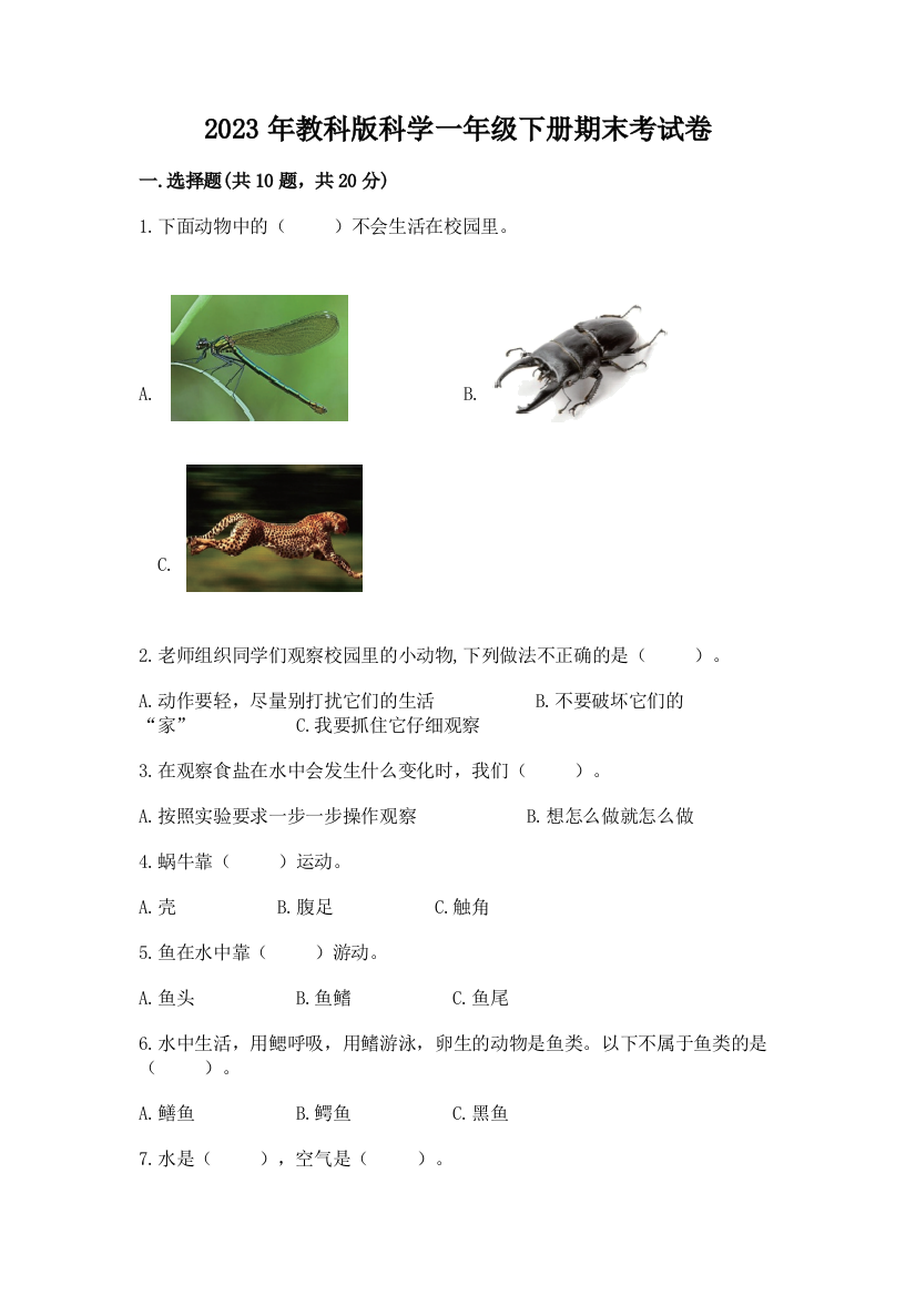 2023年教科版科学一年级下册期末考试卷及参考答案（精练）