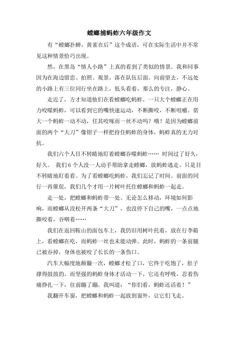 螳螂捕蚂蚱六年级作文