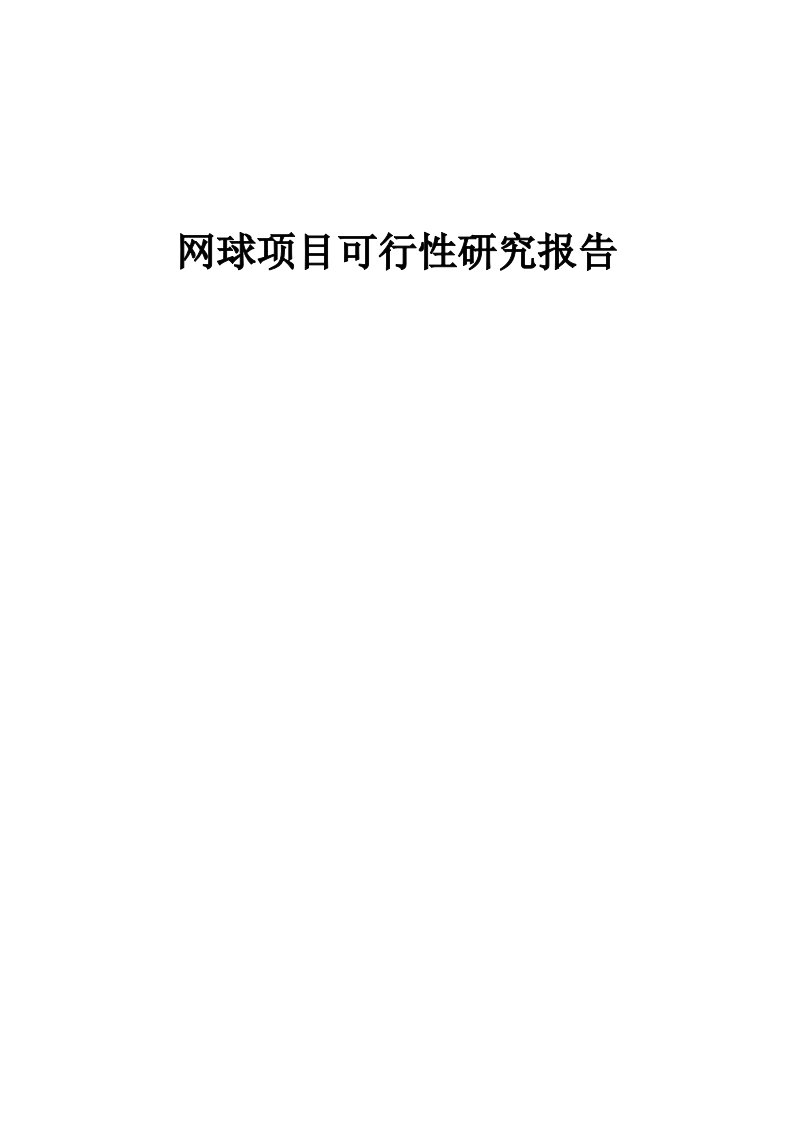 网球项目可行性研究报告