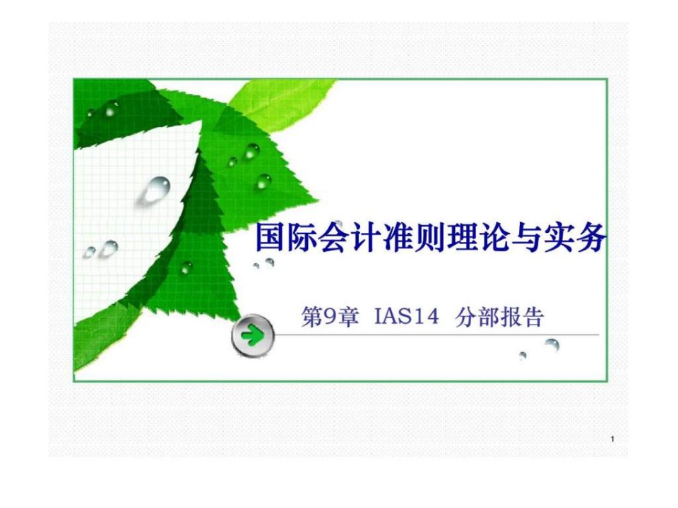 第9章ias14分部报告