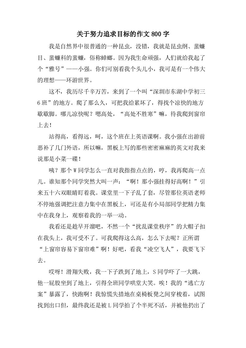 关于努力追求目标的作文800字