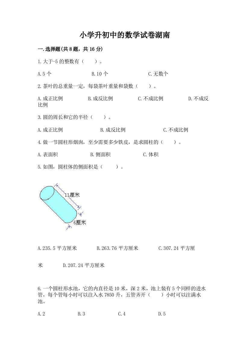 小学升初中的数学试卷湖南含完整答案【夺冠系列】