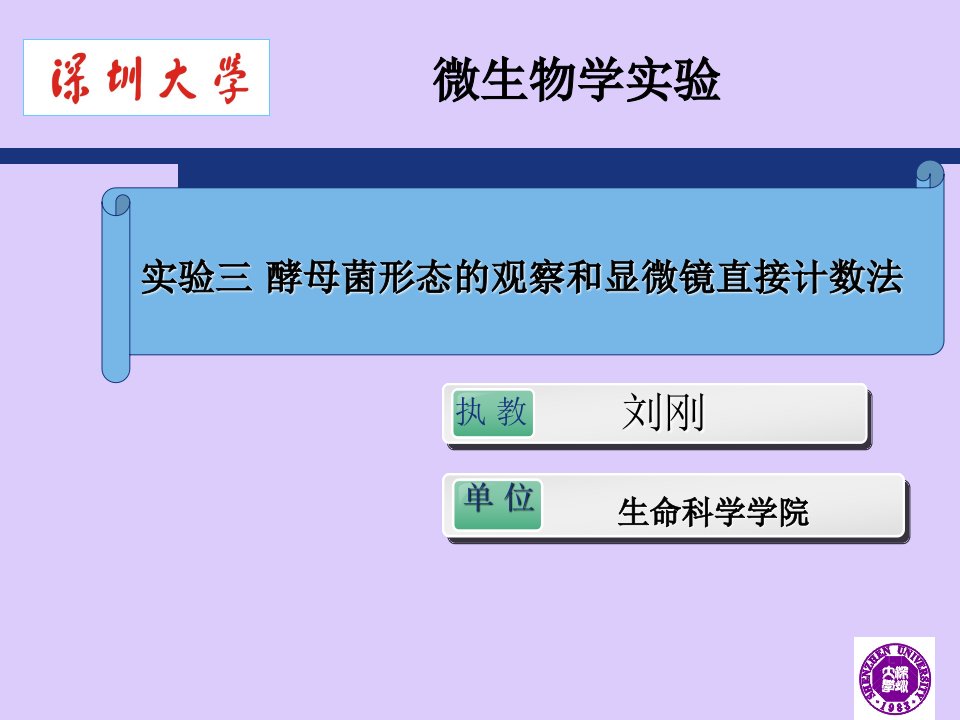 酵母菌形态的观察和显微镜直接计数法