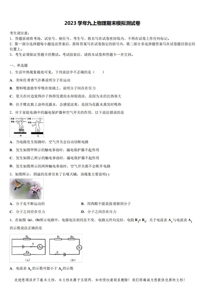 2023学年北京市人大附中九年级物理第一学期期末监测模拟试题含解析