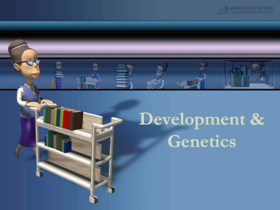 发育与遗传_生物学_自然科学_专业资料