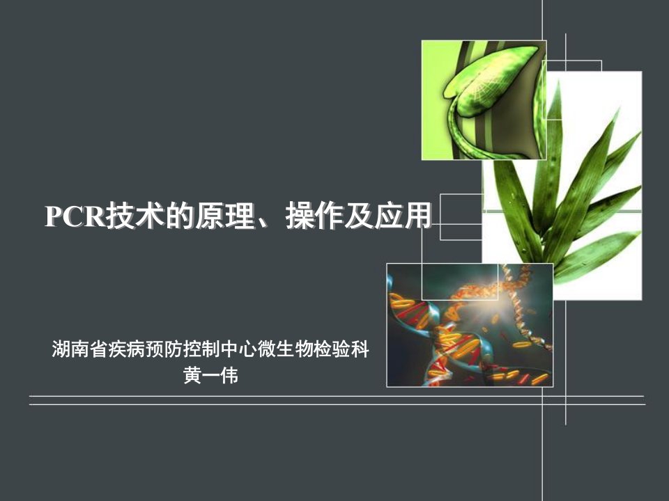 CR技术的原理、操作及应用