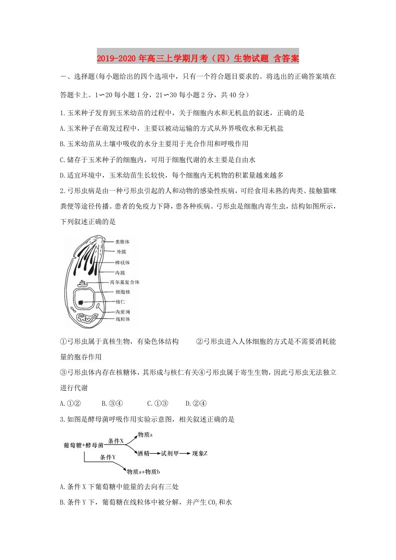 2019-2020年高三上学期月考（四）生物试题