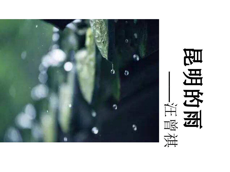 人教部编版八年级上册语文《昆明的雨》公开课ppt课件