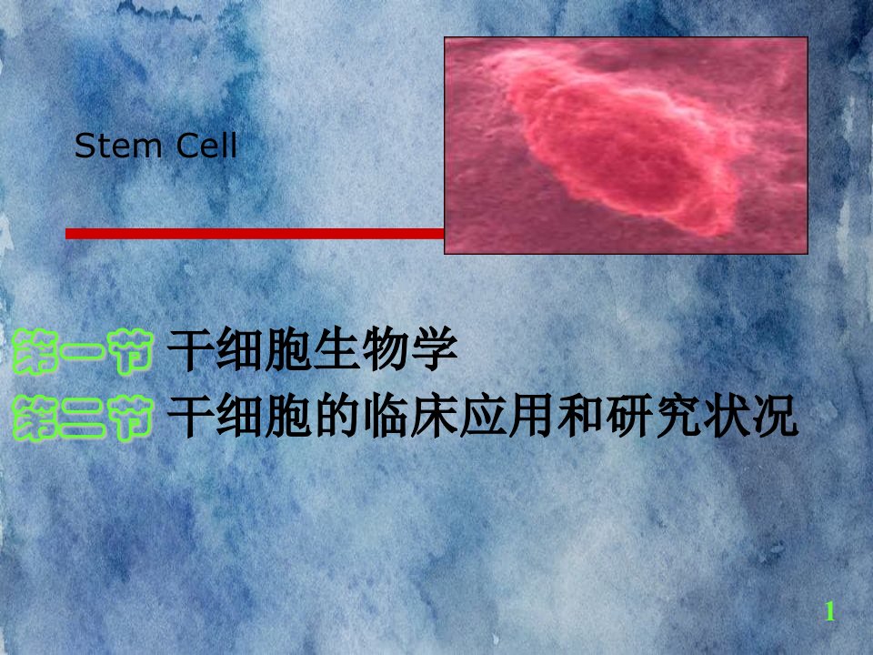 干细胞的临床应用和研究状况