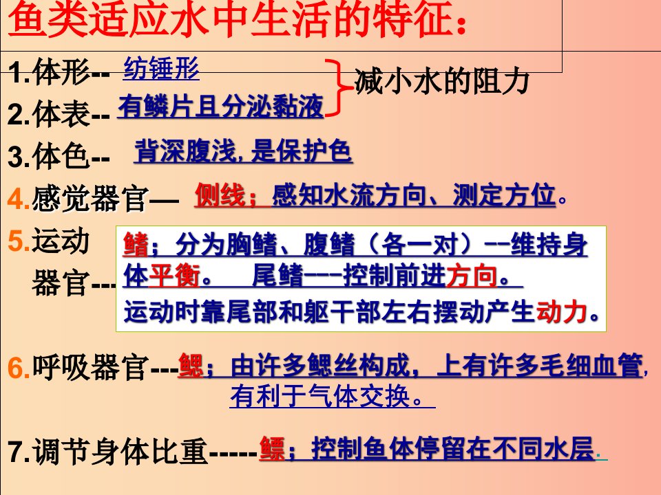 江苏省七年级生物下册第10章水中的生物软体动物河蚌课件新版苏科版