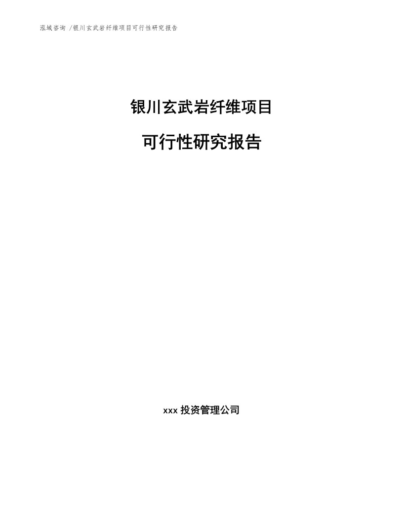 银川玄武岩纤维项目可行性研究报告模板范本