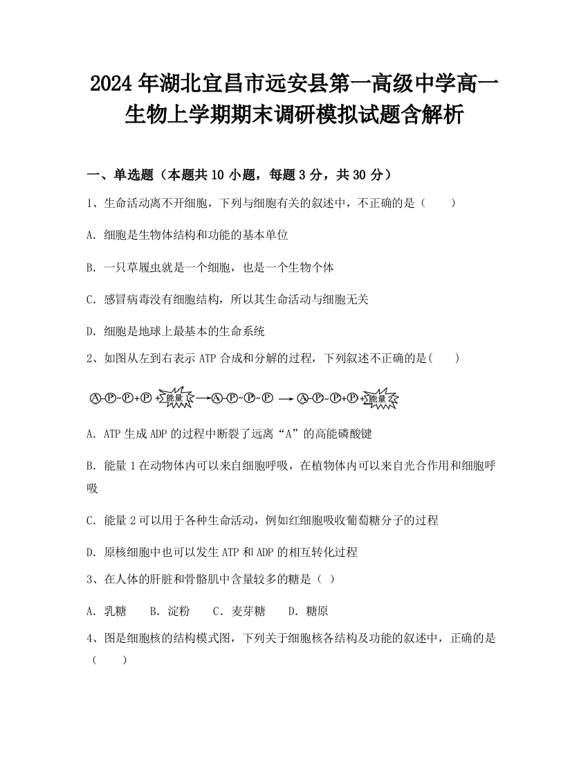 2024年湖北宜昌市远安县第一高级中学高一生物上学期期末调研模拟试题含解析