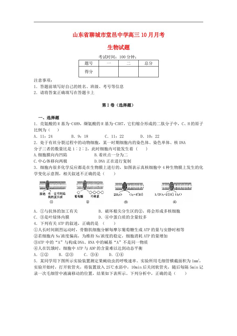 山东省聊城市高三生物10月月考试题新人教版