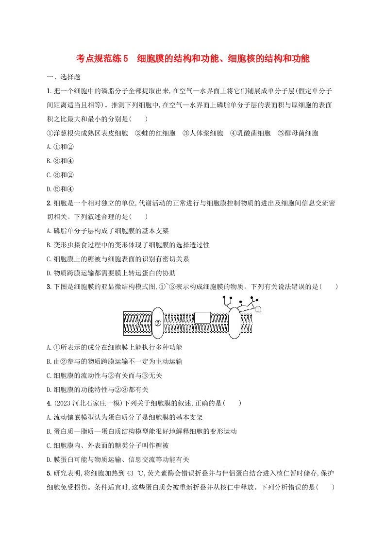 适用于新高考新教材2025届高考生物一轮总复习考点规范练5细胞膜的结构和功能细胞核的结构和功能新人教版