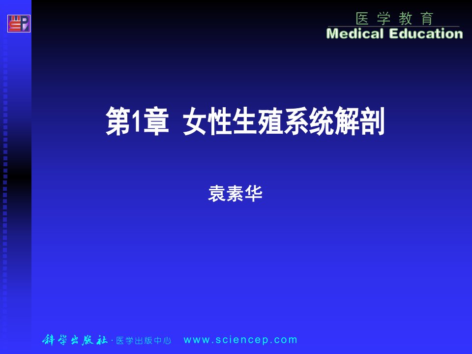 女性生殖系统详细解剖图教学材料