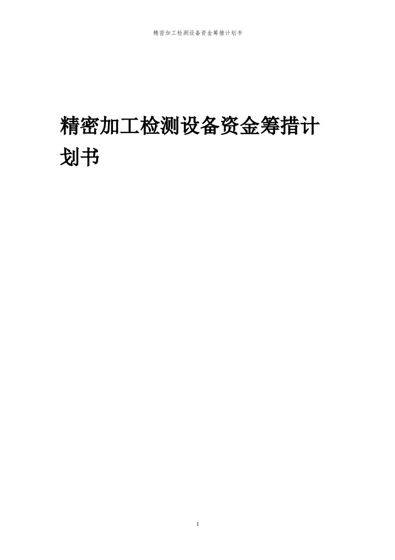 2024年精密加工检测设备项目资金筹措计划书代可行性研究报告