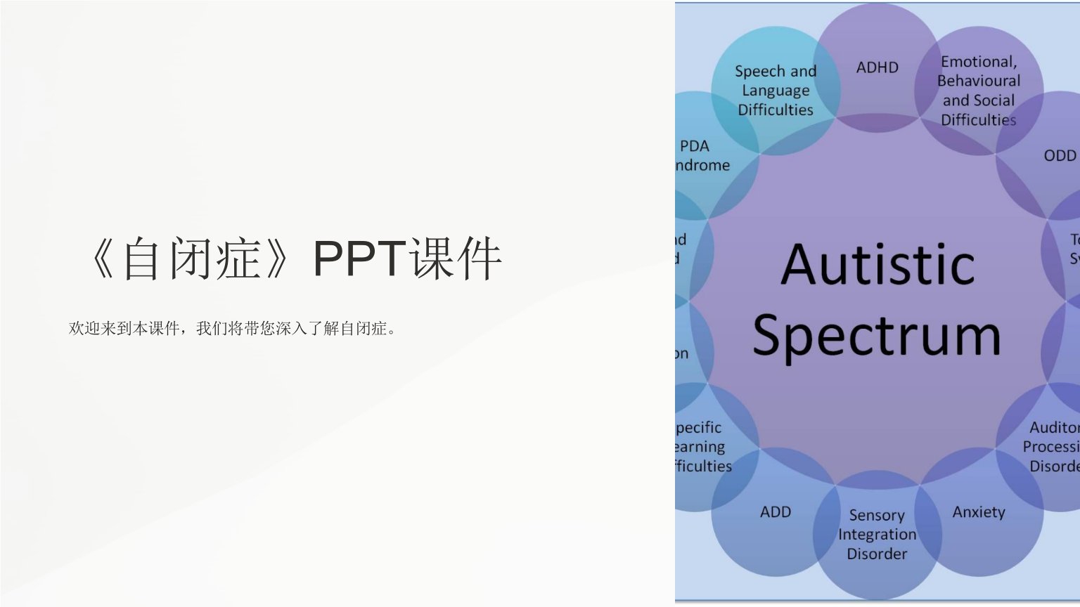 《autism自闭症》课件