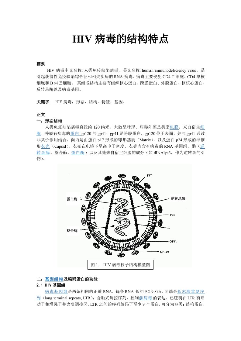 HIV病毒的结构特征