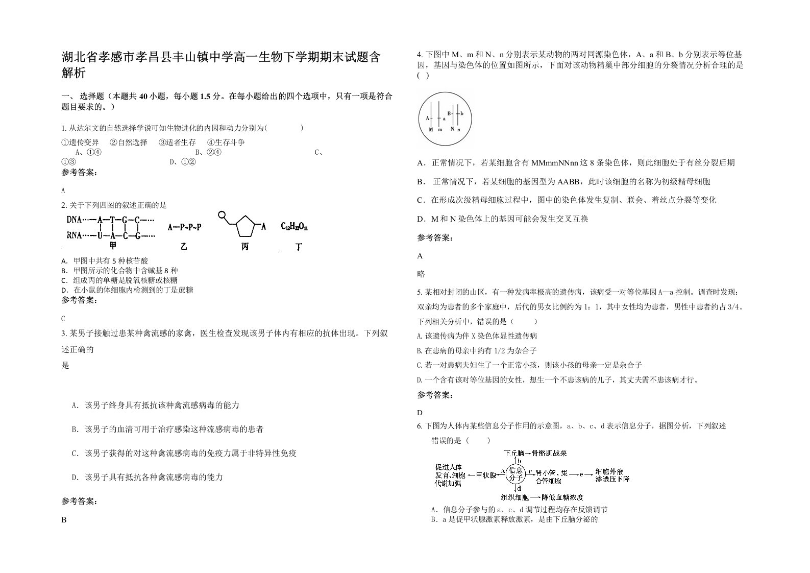 湖北省孝感市孝昌县丰山镇中学高一生物下学期期末试题含解析