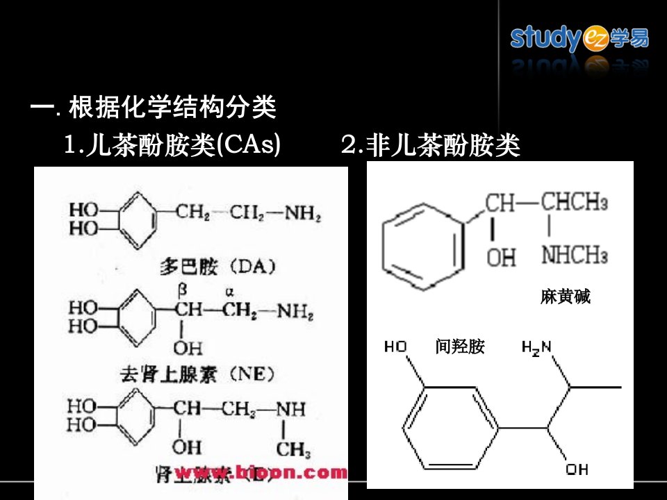 11肾上腺素激动药