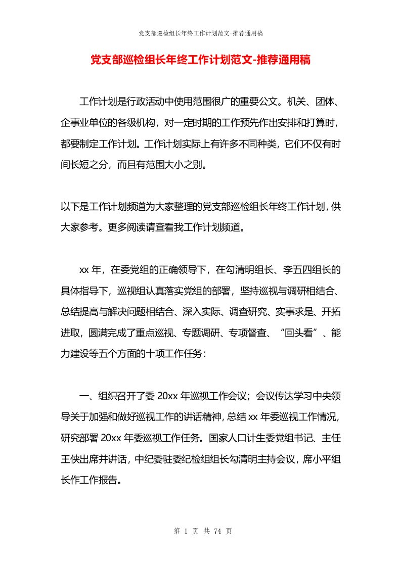 党支部巡检组长年终工作计划范文