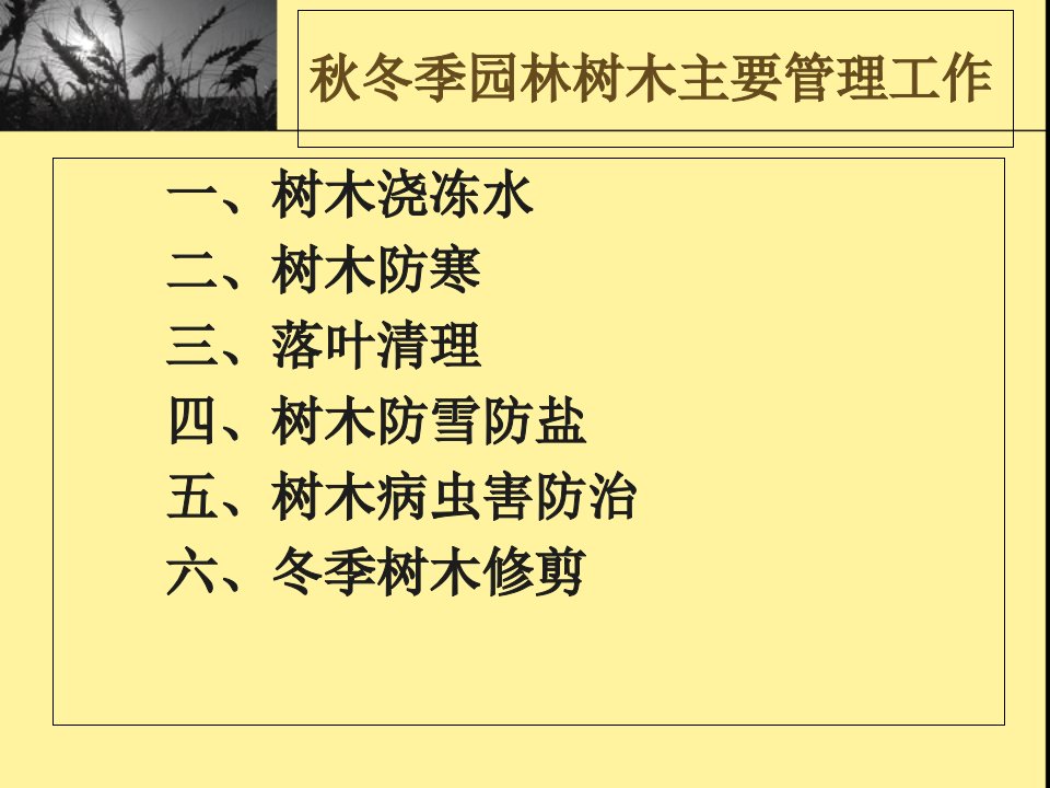 冬季园林树木养护管理冬季修剪企业协会