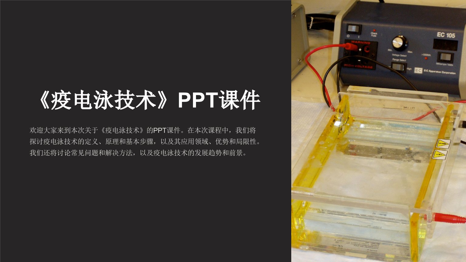 《疫电泳技术》课件