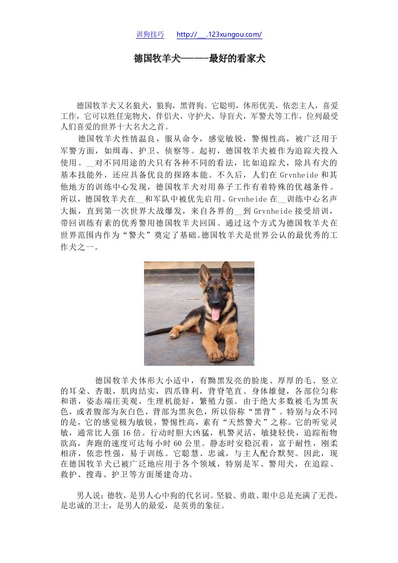 德国牧羊犬------最好的看家犬