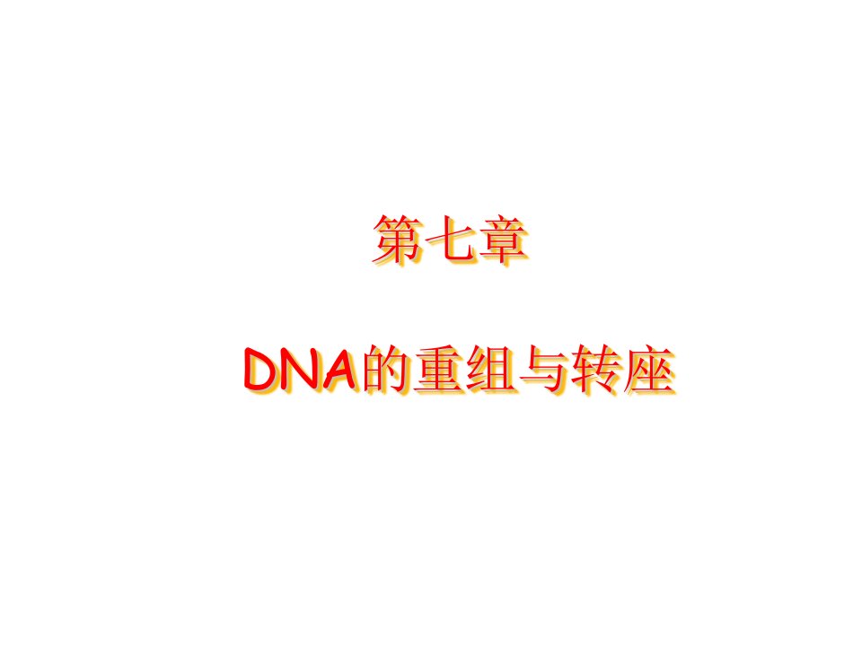 分子生物学第七章DNA的重组与转座