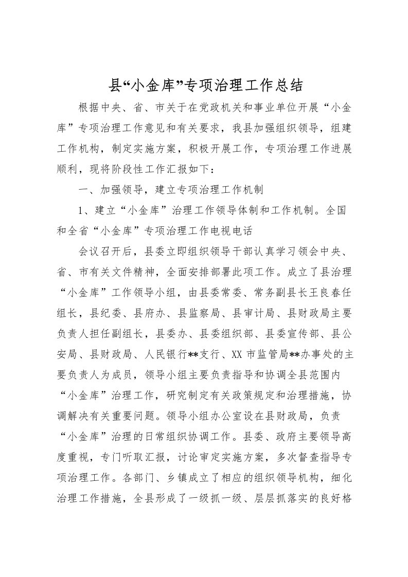 2022县小金库专项治理工作总结