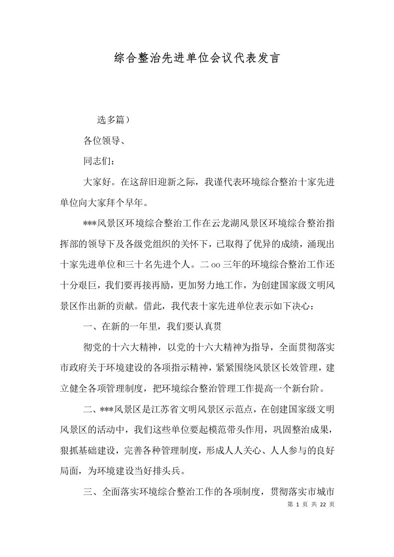 综合整治先进单位会议代表发言（一）