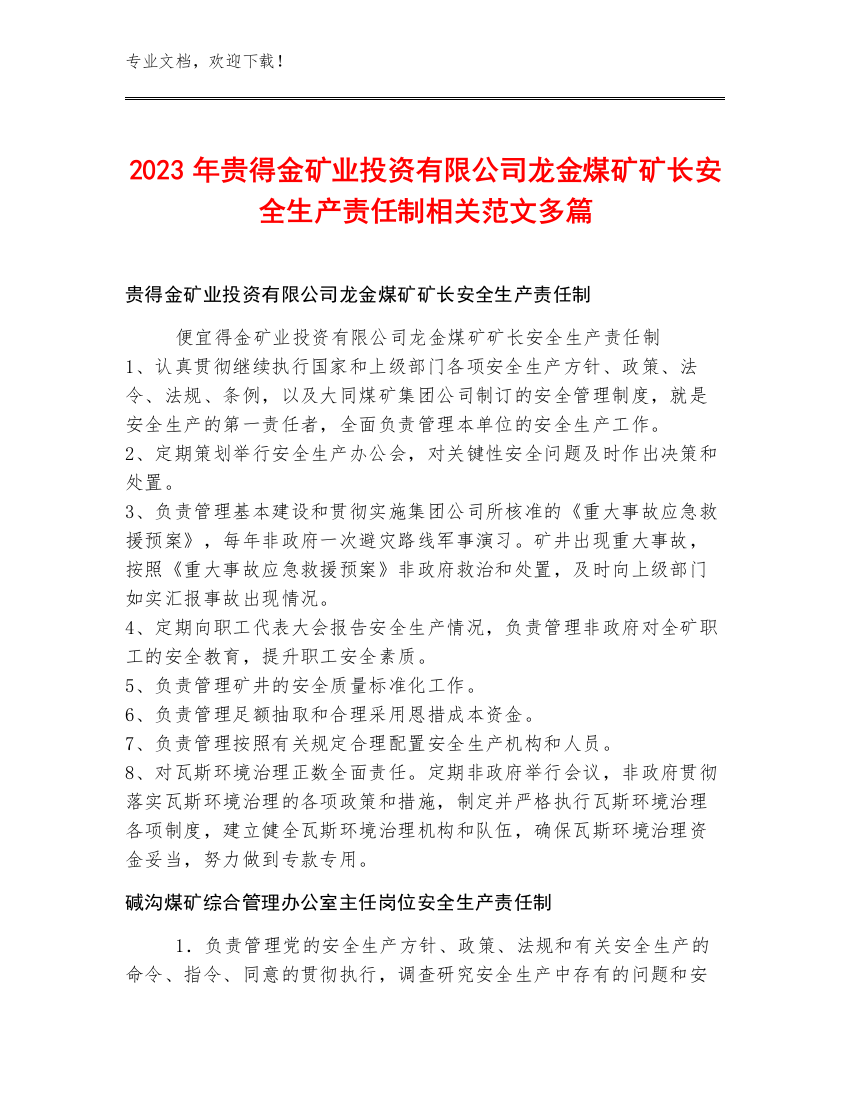 2023年贵得金矿业投资有限公司龙金煤矿矿长安全生产责任制范文多篇