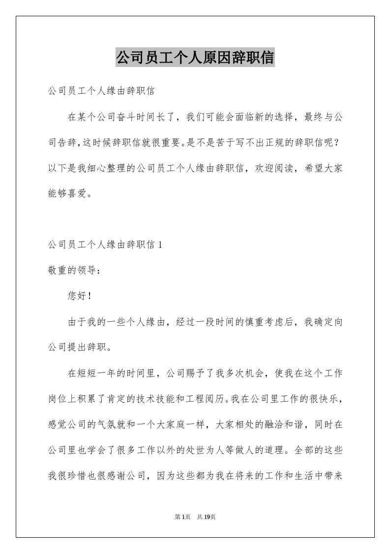 公司员工个人原因辞职信例文7