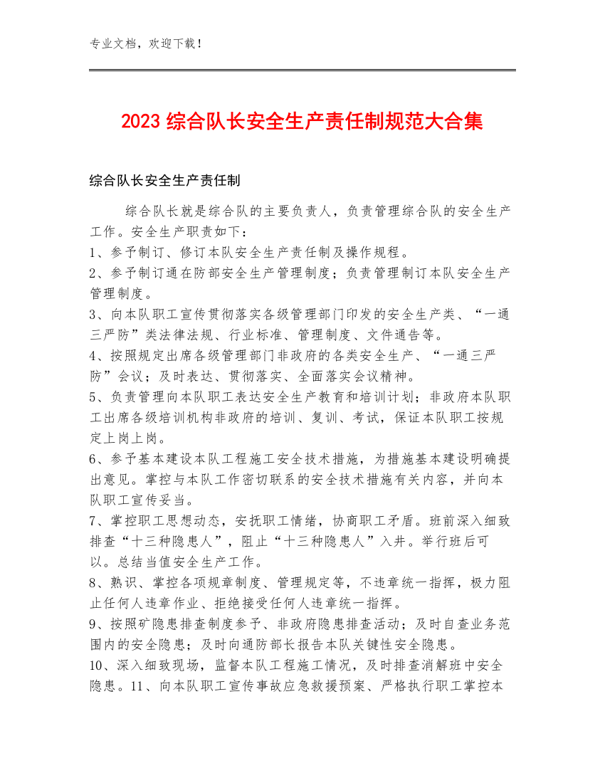 2023综合队长安全生产责任制规范大合集