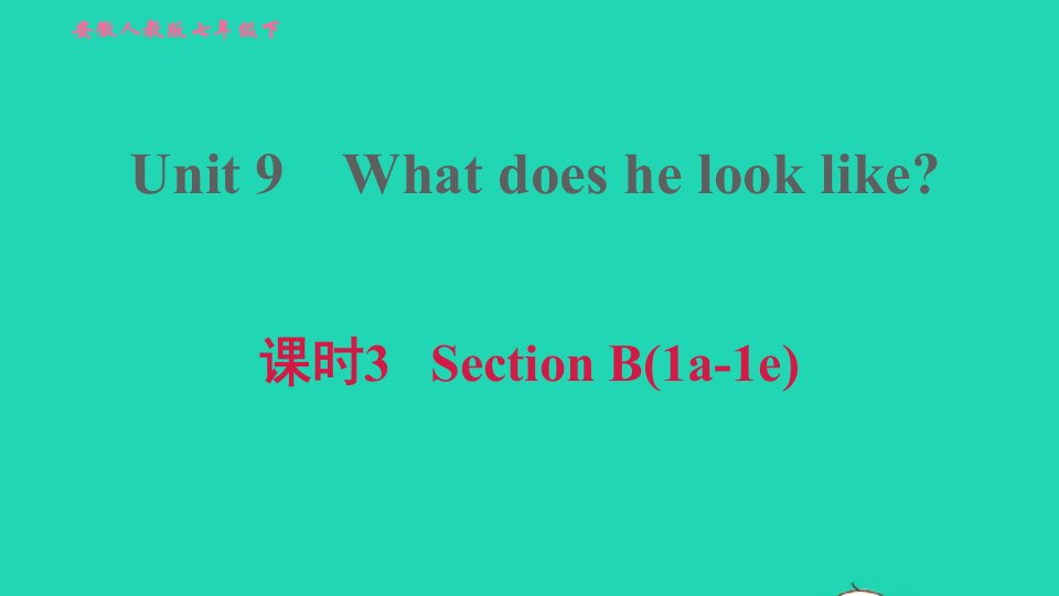 安徽专版2022春七年级英语下册Unit9Whatdoeshelooklike课时3SectionB1a－1e习题课件新版人教新目标版