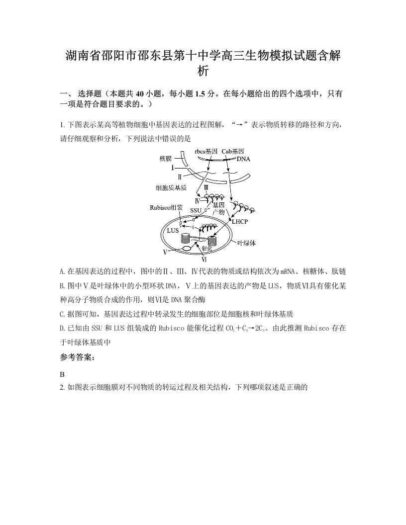 湖南省邵阳市邵东县第十中学高三生物模拟试题含解析