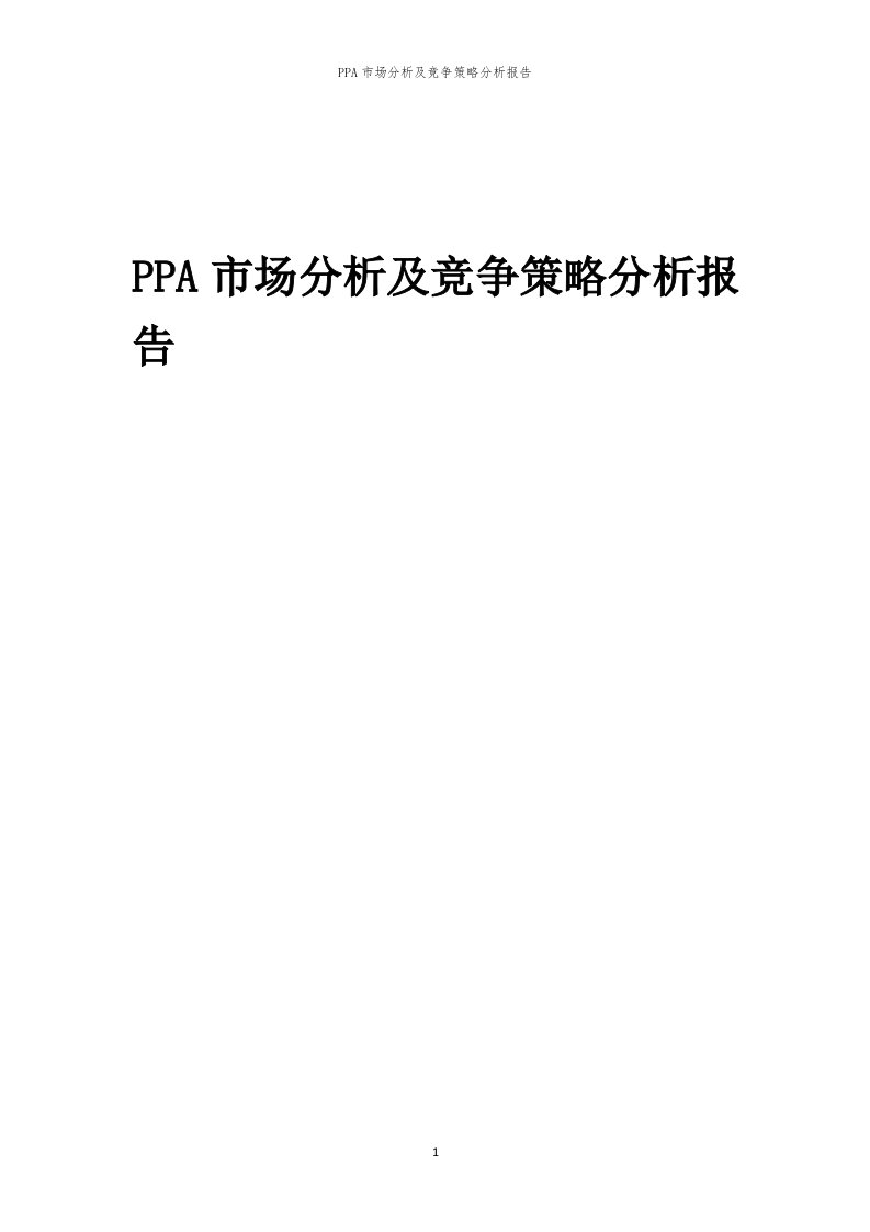 PPA市场分析及竞争策略分析报告