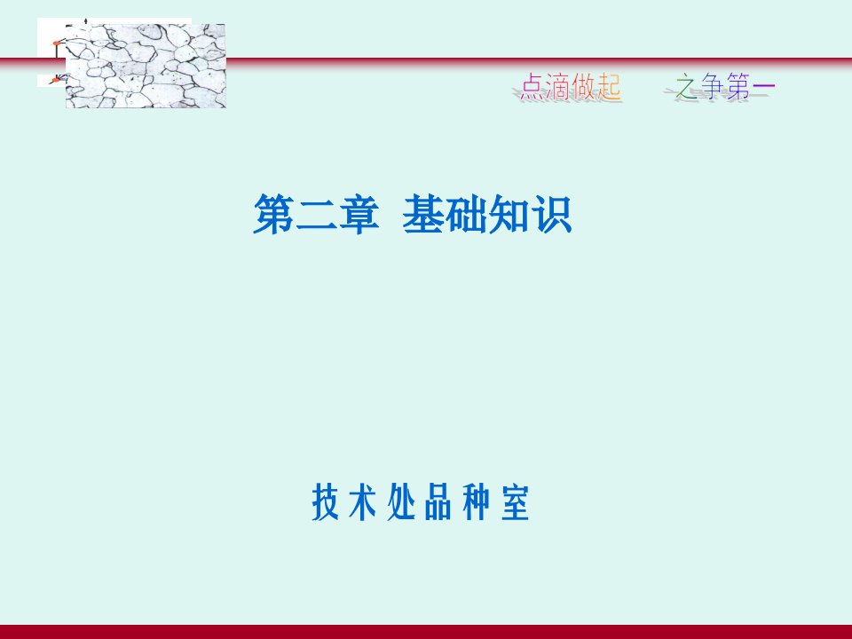 棒材工艺教程(第二章第一节金属材料1)