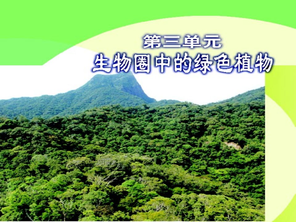 广东省佛山市顺德区江义初级中学七年级生物上册