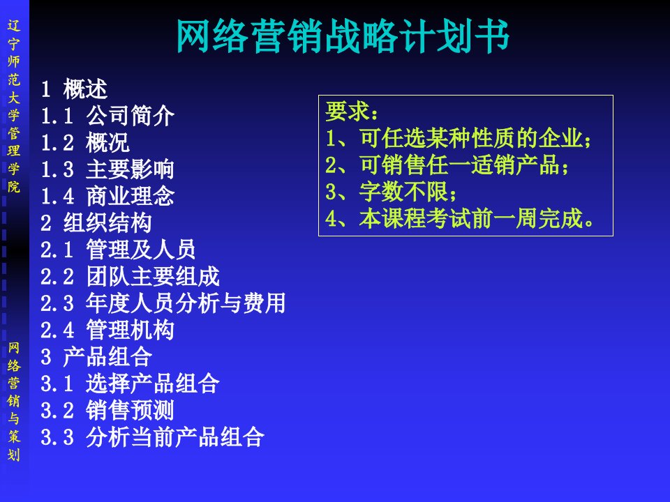 网络营销战略计划书