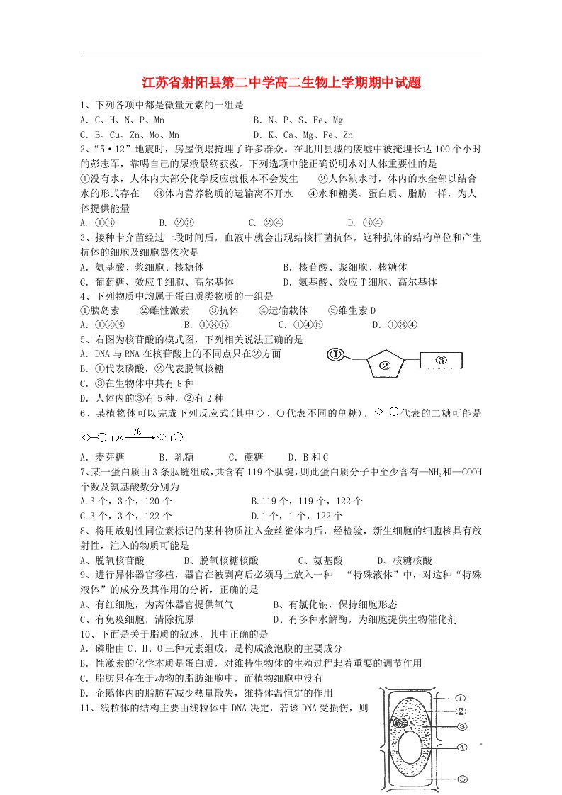 江苏省射阳县第二中学高二生物上学期期中试题