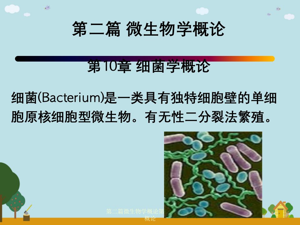 第二篇微生物学概论第10章细菌学概论