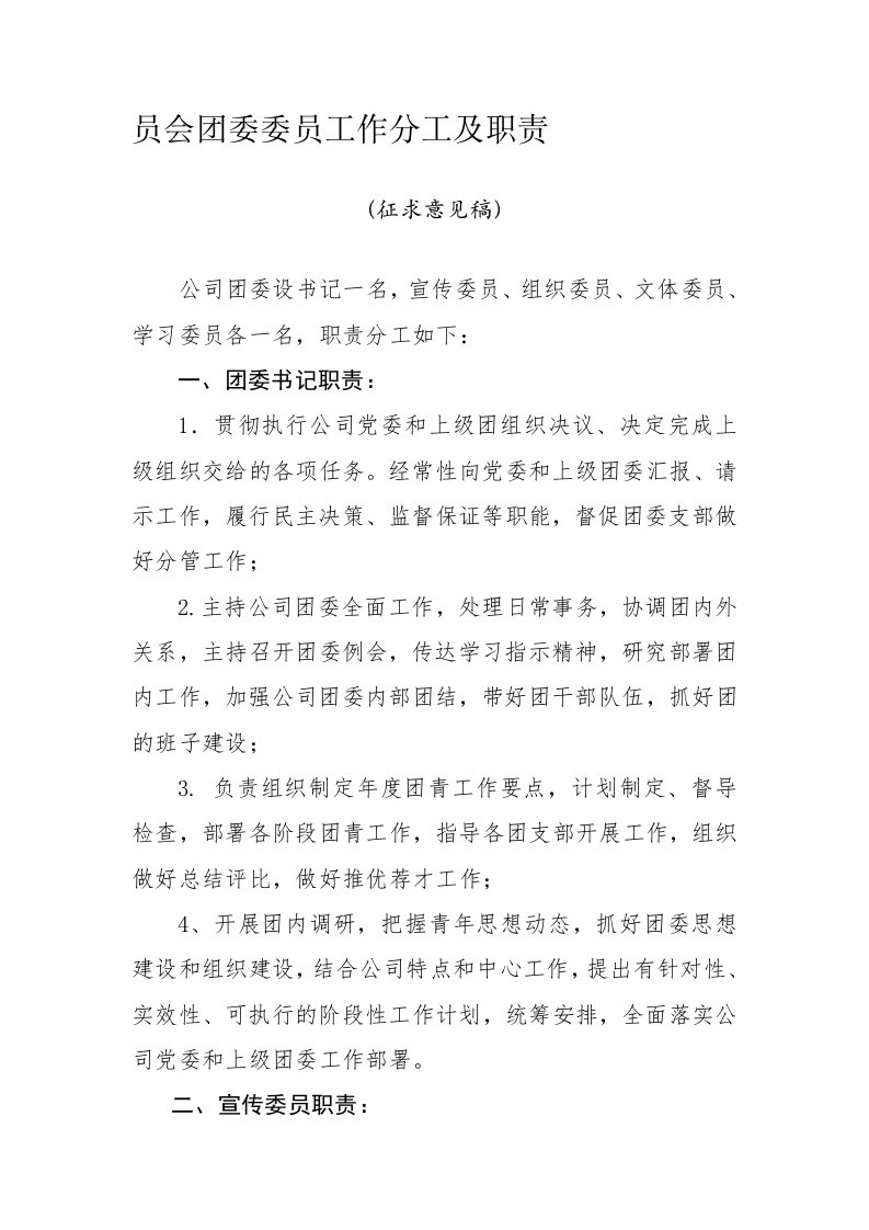 团委委员分工及职责