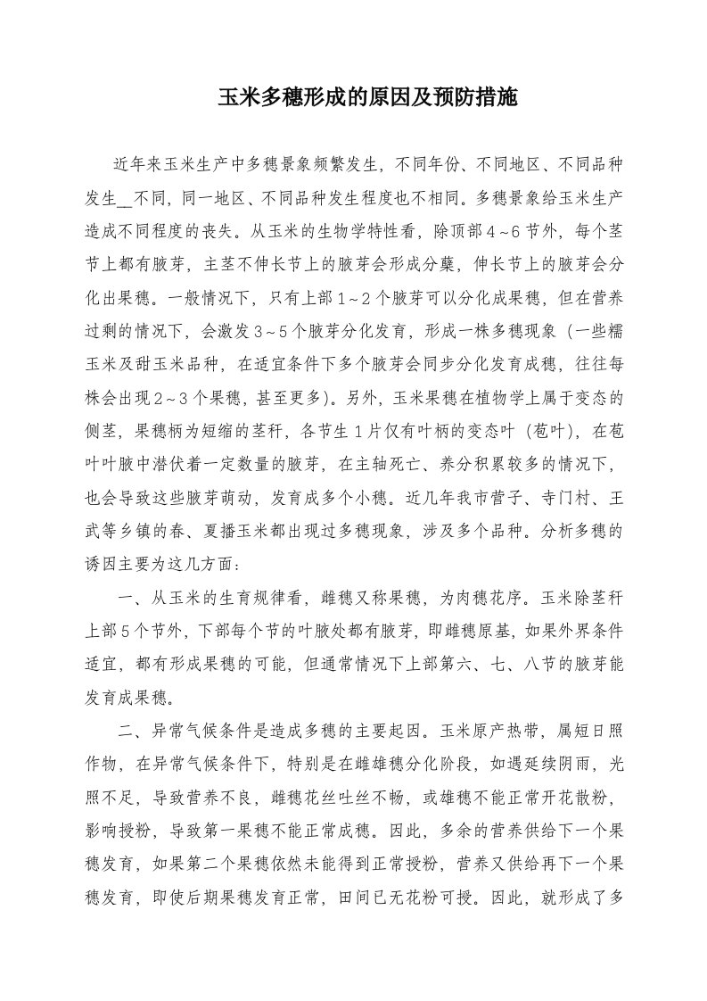 玉米多穗形成的原因及预防措施