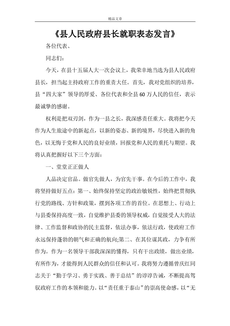 《县人民政府县长就职表态发言》