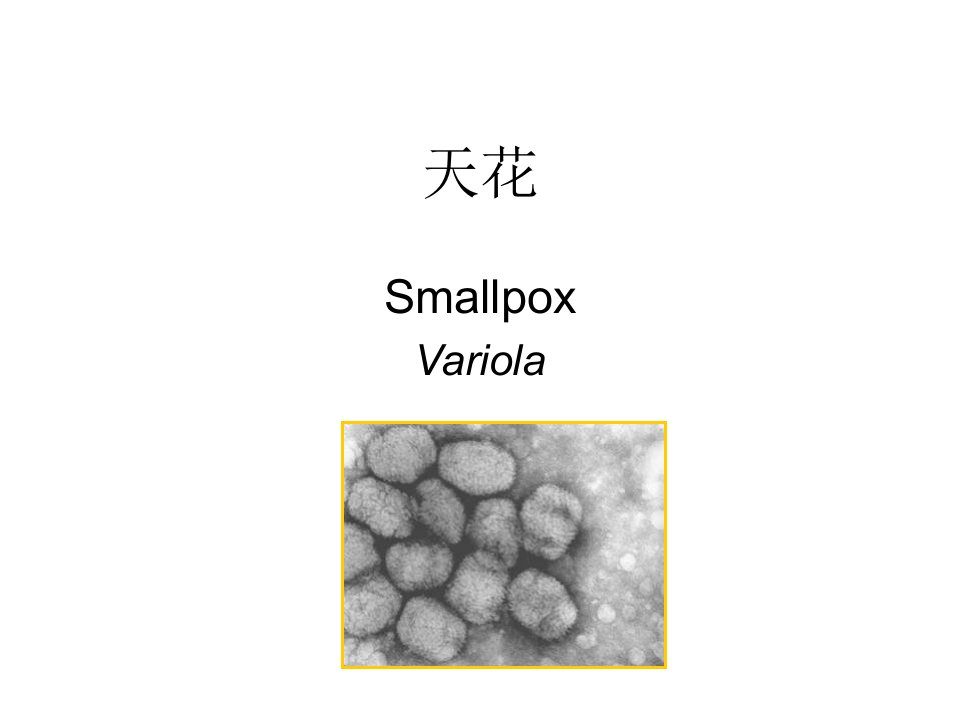 天花课件