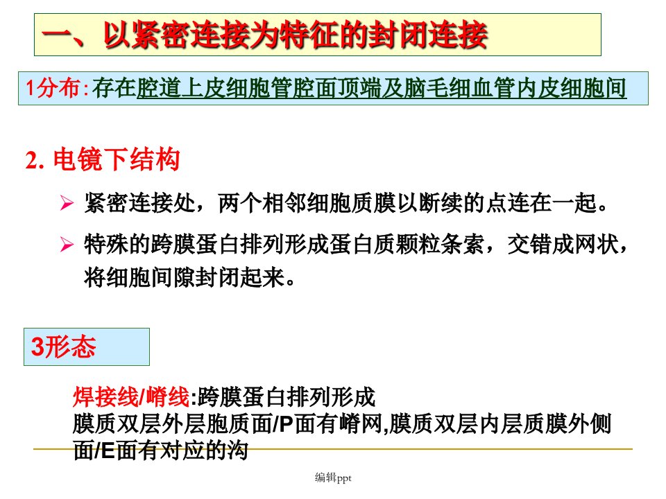 细胞连接与细胞粘连-(2)(1)